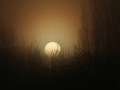 Sunrise through Mist, Guiseley